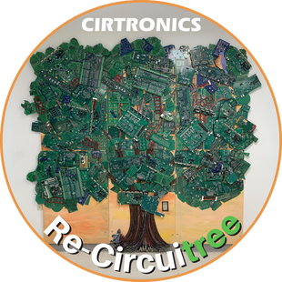 Re Circuitree 2024